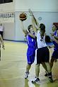 Basket 252069